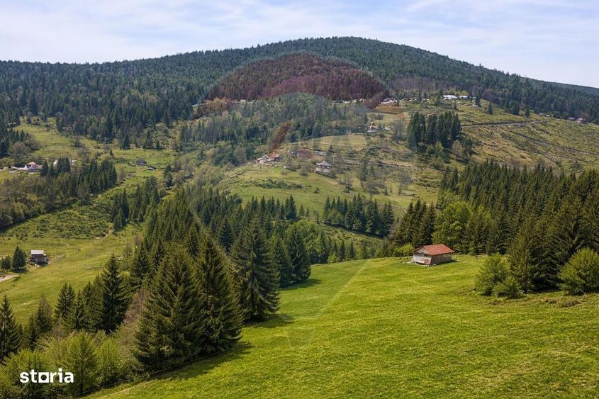 Teren de vanzare in inima Apusenilor 6.500 mp Arieseni - 7