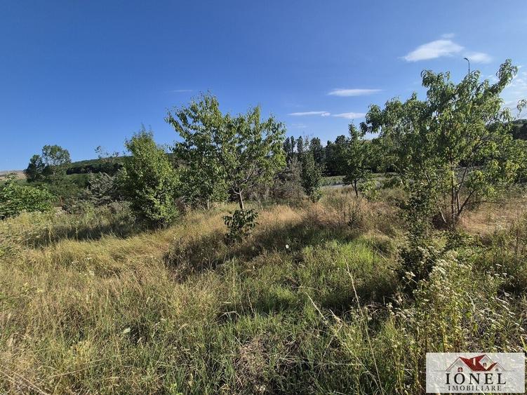 Teren intravilan 2500 mp de vanzare in Ciugud - Teleac - 2