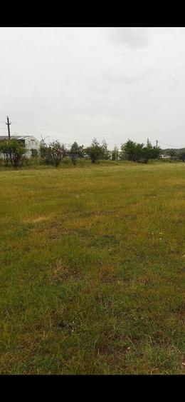 Teren logistic langa Ploiesti, acces rutier Autostrada A3( Transilvania)+ feroviar - 6