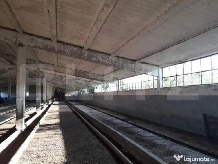 De vanzare teren-intravilan, ferma 9,5 ha, Tulcea-Sf. Gheorg - 1