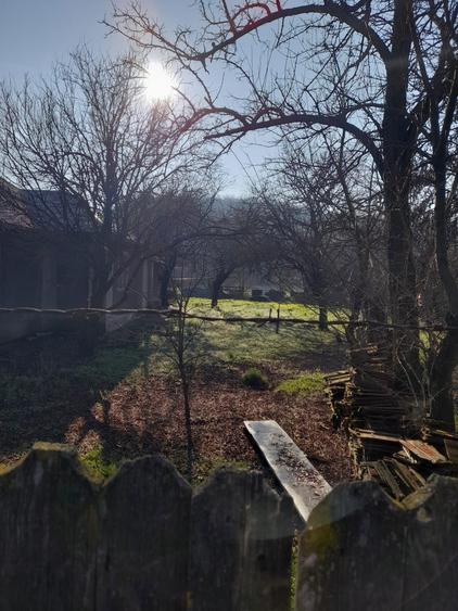 Casa + Teren Comuna Axintele, jud. Ialomita - 8