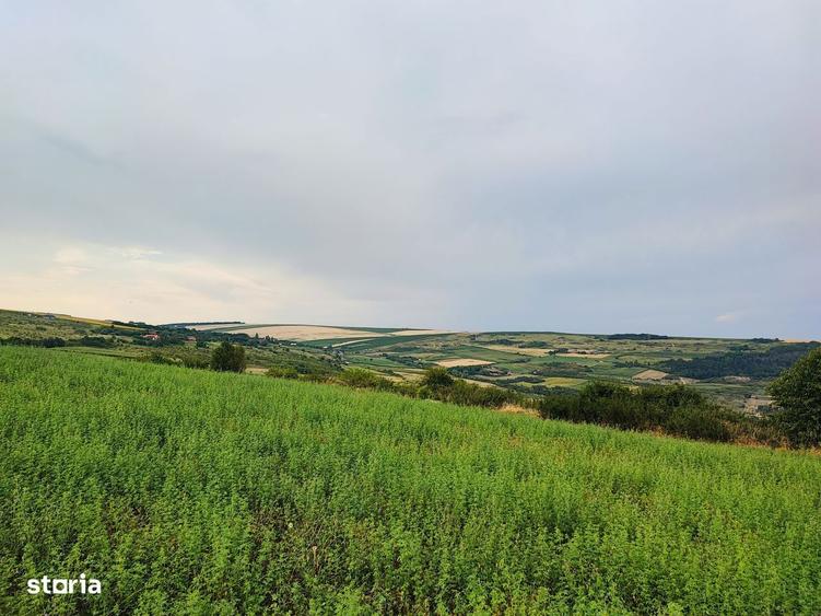 Teren 1050 mp Dealul Fanatelor/ investitie - 1