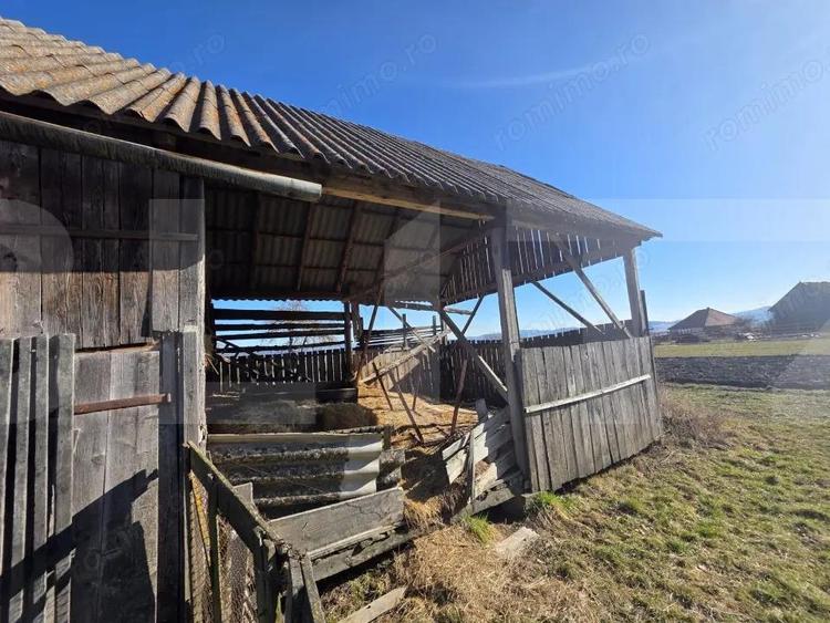 Casa individuala cu 3 camere intr-un teren generos - 17