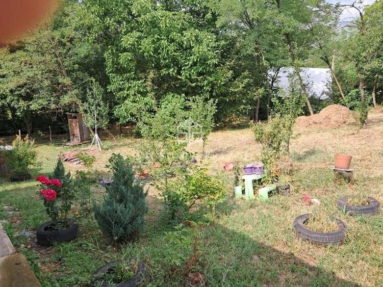 Casa si teren 2000 mp - 9