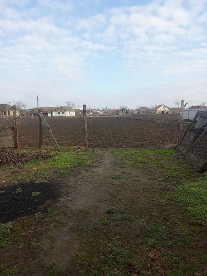 Vand gospodarie traditionala in Socodor - 1