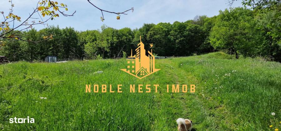 Teren extravilan 2200 mp - Budeasa Mica, Arges - 3