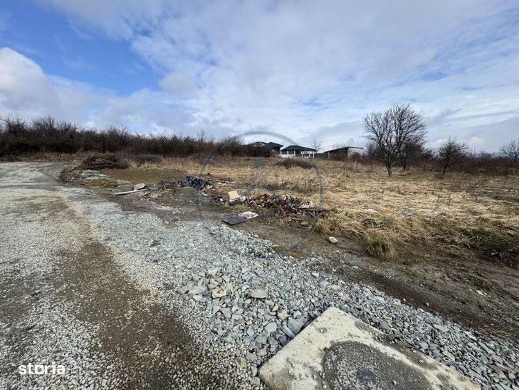 Teren intravilan 800 mp / Sigmir / 2 fronturi - 2