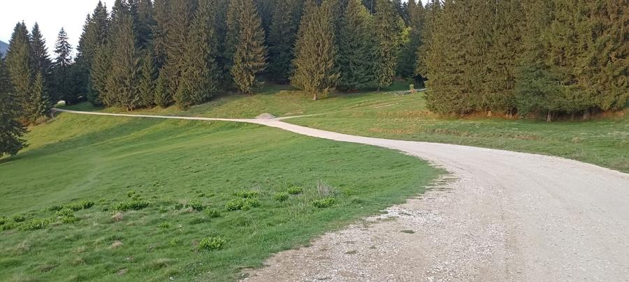 Vanzare teren 900 mp/25 ml toate utilitatile, Predeal laga Cabana Trei Brazi - 3