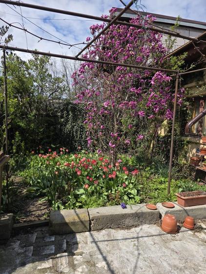 Casa la curte de vanzare , sector 1 - 4