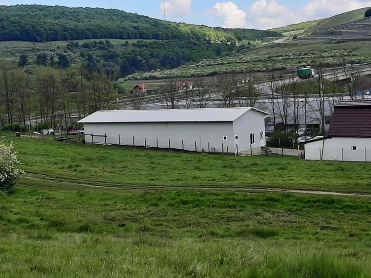 Teren in Valcele - 3