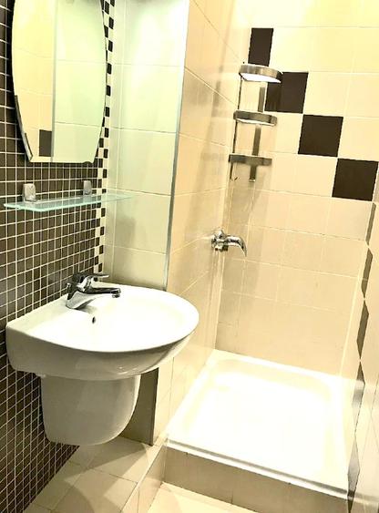 Apartament de inchiriat in Centru Vechi / Centrul Istoric, N. Balcescu - 6
