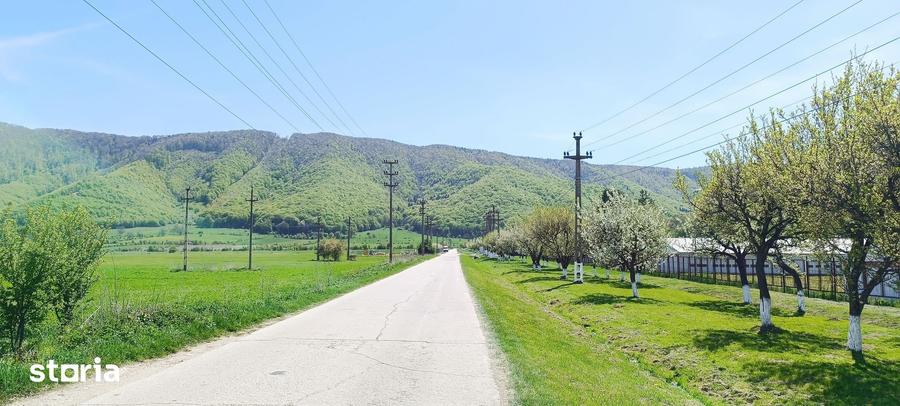 Teren de 8000 mp, în Bartolomeu