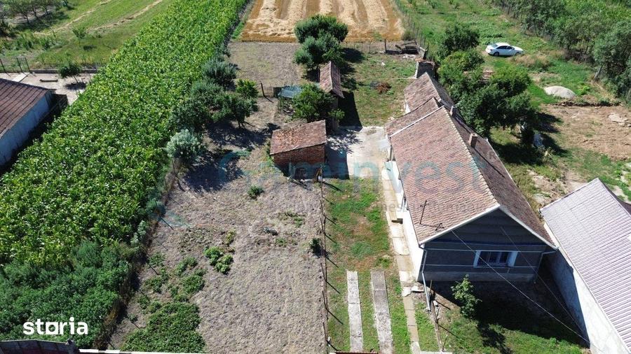 Casă cu 3 camere cu Teren 4192 Mp în Gepiu