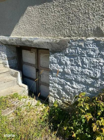 Teren de 2800 mp, în Vișinești