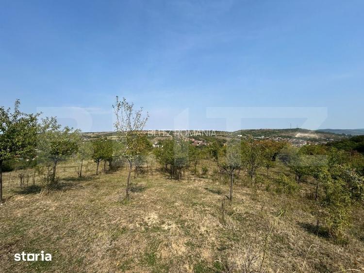 Teren extravilan de vanzare, 5.800 mp, zona Aiud