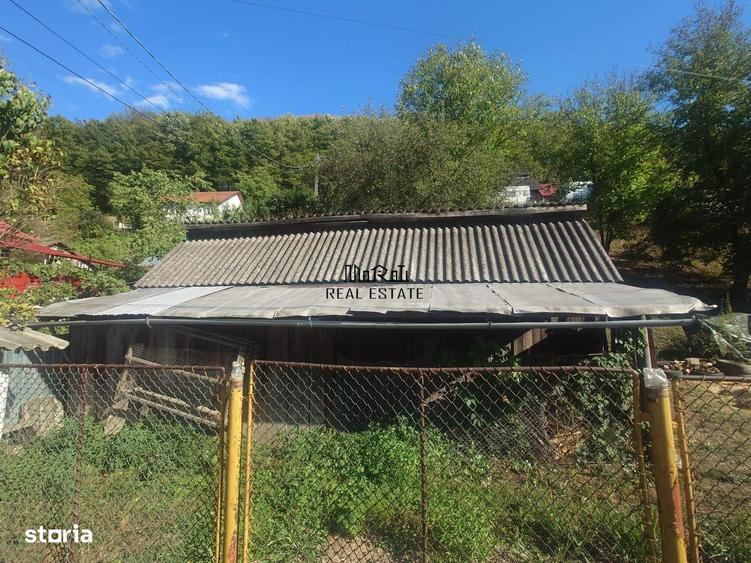 Casă cu 4 camere cu Teren 3514 Mp în Criș