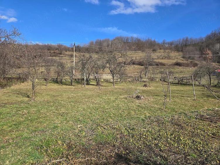 Casă cu 3 camere cu Teren 2500 Mp în Pietroasa