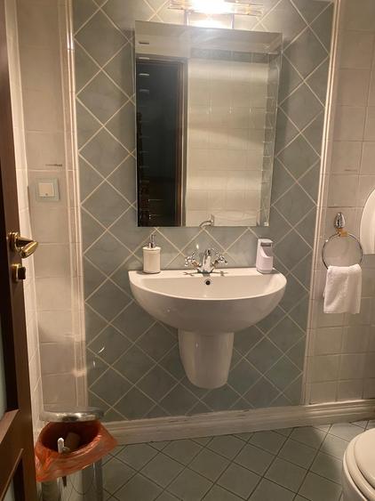 Vila individuala Victoriei pretabil birouri clinica restaurant rezidenta - 44