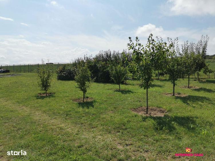 Teren intravilan de vanzare Daia, Sibiu 665 mp - 1