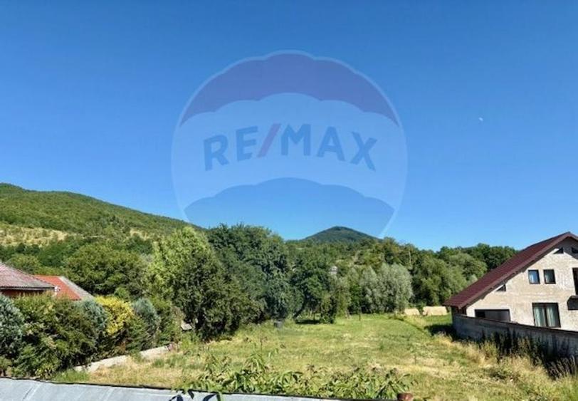 Teren 3,154mp Barsana / Intrarea principala - 1