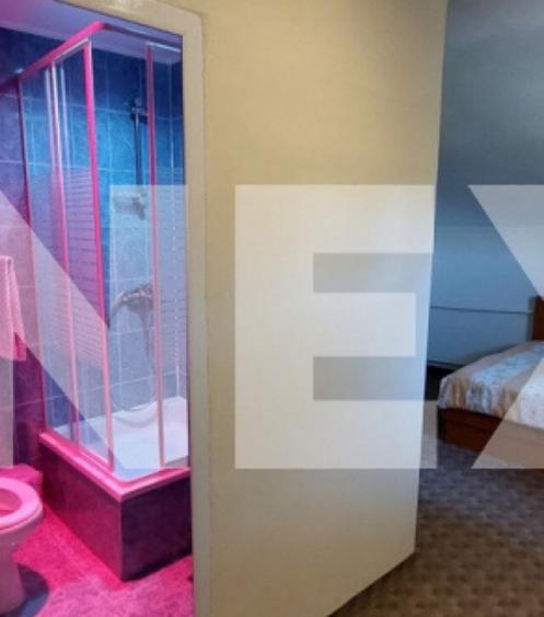 Pensiune 9 camere in Valea Mare Bratia, com. Balile?ti, ju - 6