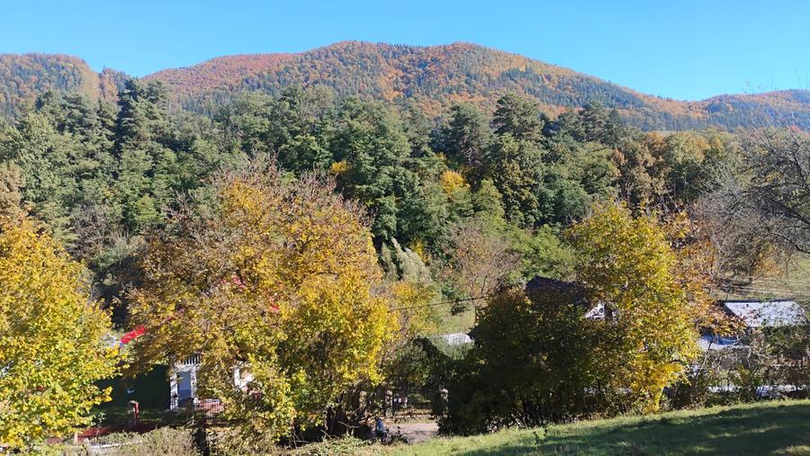 🌲 Teren 3600 mp langa Piatra Neamț, la asfalt, utilitati - 5