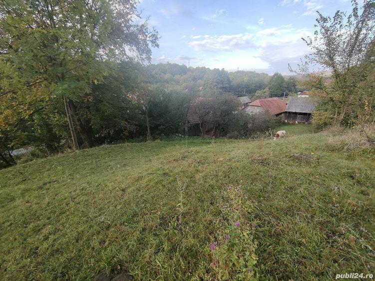 Casa de vanzare cu gradina teren de aprox 7000 mp,6.5 euro mp - 5