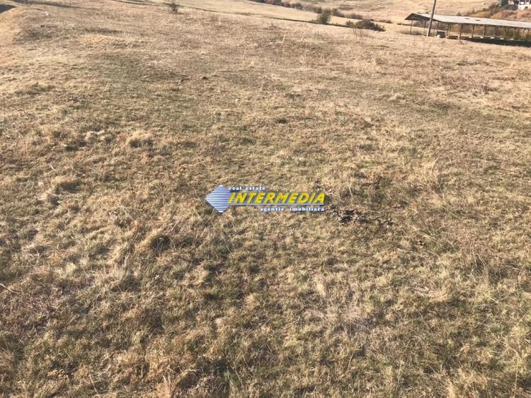 Teren intravilan de vanzare 879mp Alba Micesti - 4