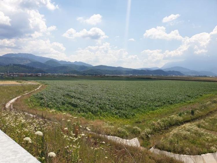 Brasov - Cristian, teren intravilan 34.000 mp, oferta pentru dezvoltatori. - 6