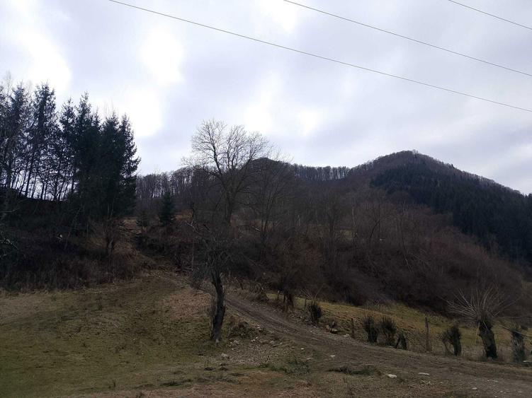 Teren Riu Sadului - 2 ha Acces stradal , zona cu potential turistic - 4