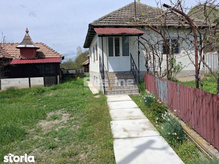 Casa renovata complet, 3068 mp teren, langa Manastirea Surpatele-Valce - 4