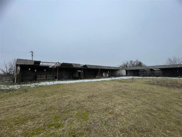 RECO Pensiune cu Spatiu Comercial in Pocola la 5km de Beius - 7