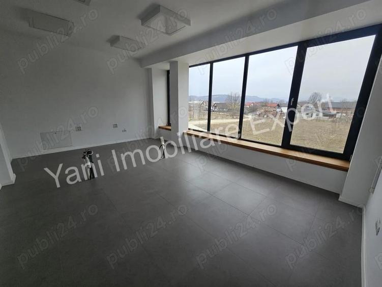 Hala de inchiriat in Curtea de Arge?. - 9