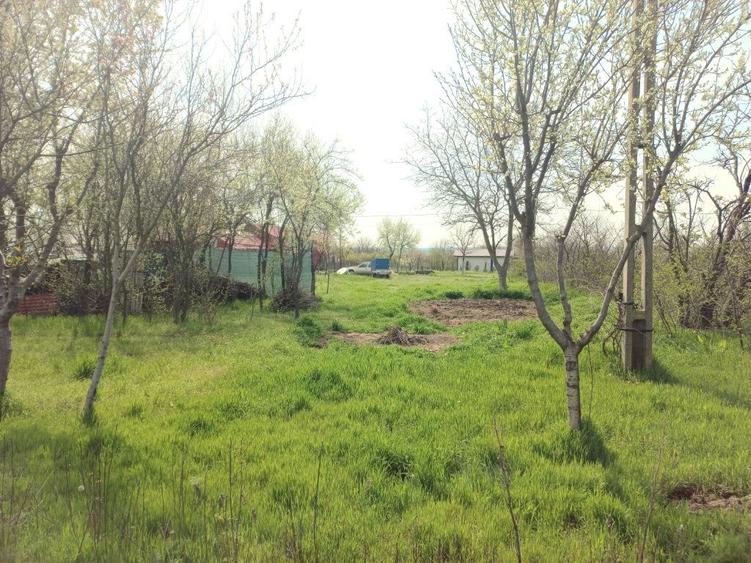Teren 1000MP (sau 500mp) Radu Negru Calarasi (Gambeta) - 1