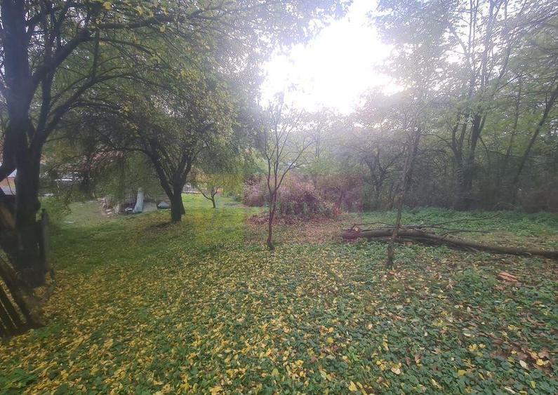 Casa batraneasca cu teren (4.910 mp) la Alunis - 3
