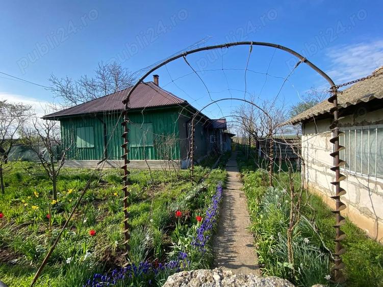 Vand casa Crunti, Ialomita - 9