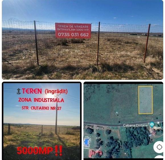 Teren intravilan, Sebis , zona str. Ciutariei. - 1