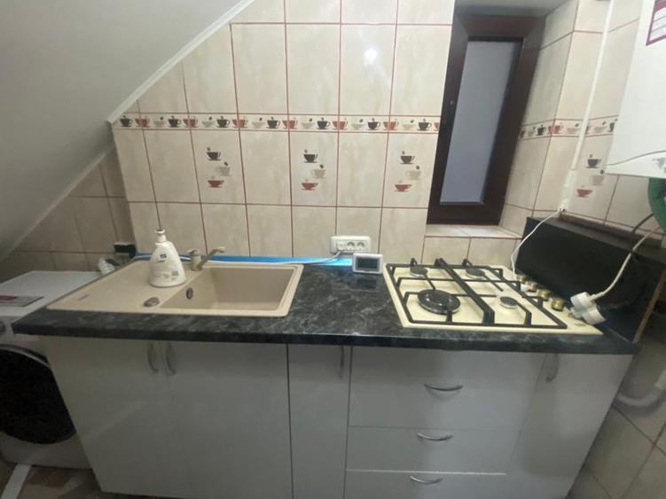 Inchiriere casa P+1 pet friendly curte comuna Cotroceni Medicina - 8