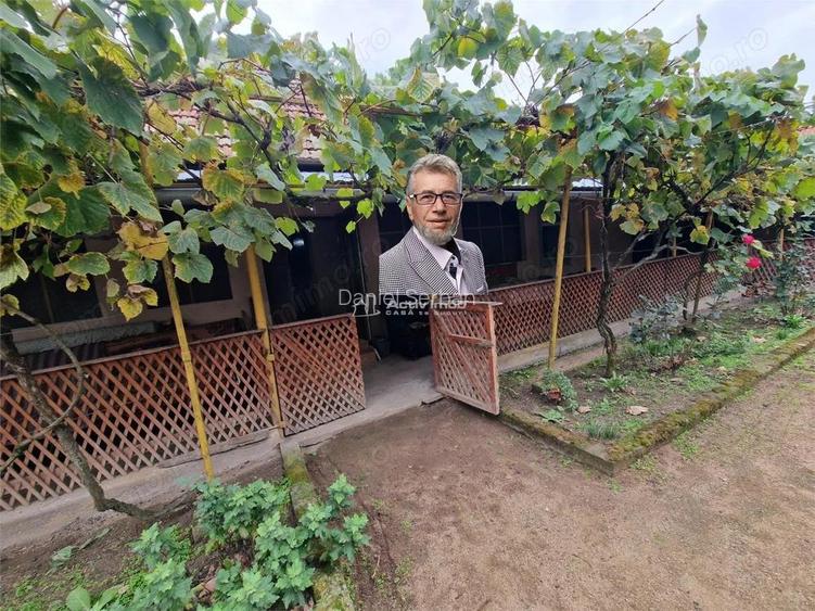 Sosdea 2 Case cu Teren 4657 Mp.