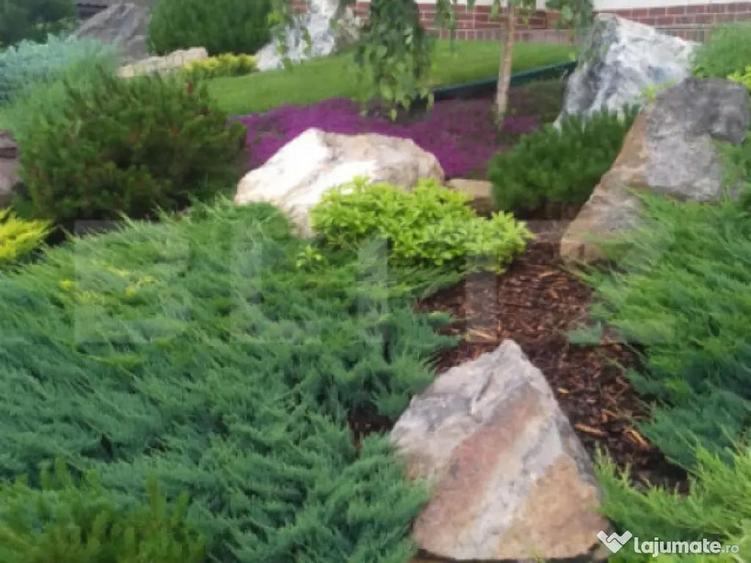 Casa/Vila 236 mp utili, 2743 mp teren, zona Mereni - Salcea - 15