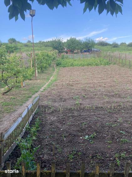 Teren 2.000 mp in Dezmir | Livada cu 100 pomi fructiferi | Fantana - 2