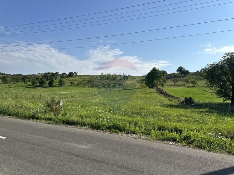 Teren 8,300mp Negresti (Dobreni) / Drumul DEALUL OTEL - 1