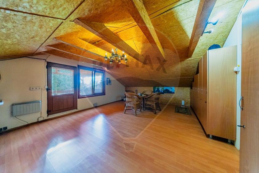 Ferma de cai andaluzi de vanzare - Zadareni - 7