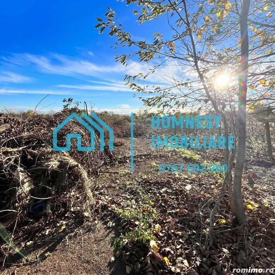 Stefanestii de Jos iIlfov | Teren 996.08 mp - 8