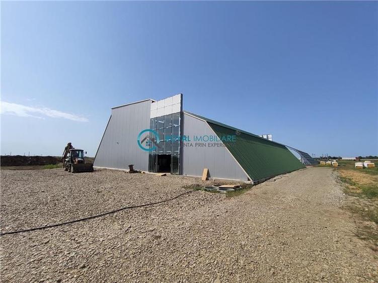 Royal Imobiliare - Inchirieri Spatii industriale/ Hale - 1