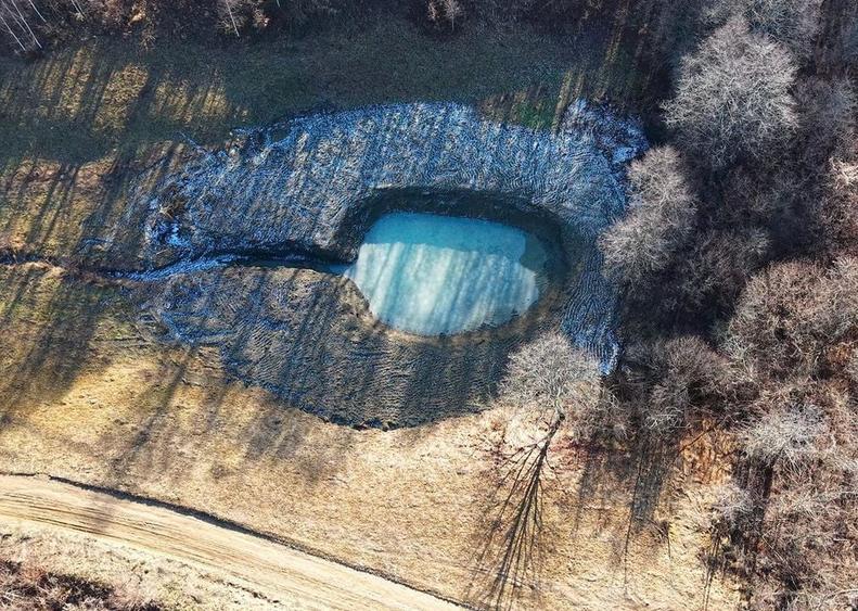 Teren pasune si padure 2,4ha - 6