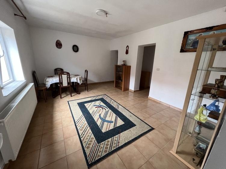 2 case, hala depozitare, teren 3785 mp - 2 F.S. - 22 m, pe malul Begai - 11