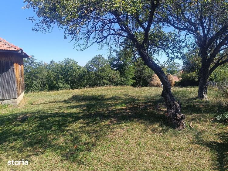 Teren Pietriceaua - 4