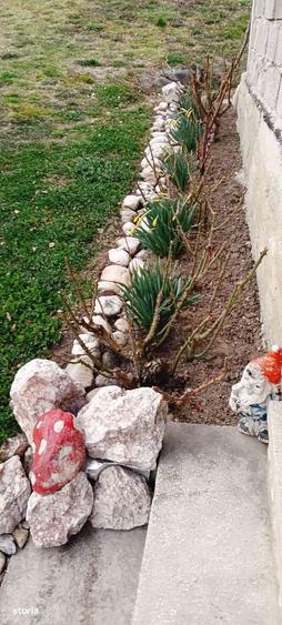 Casa de vanzare - locul unde acasa prinde contur - 7