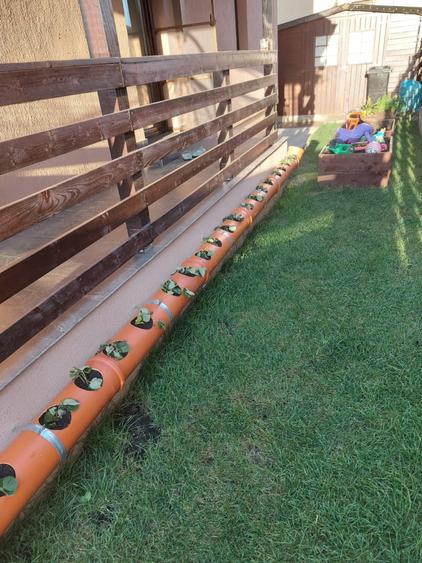 Casa 4C Valea Lupului-Iași - 6